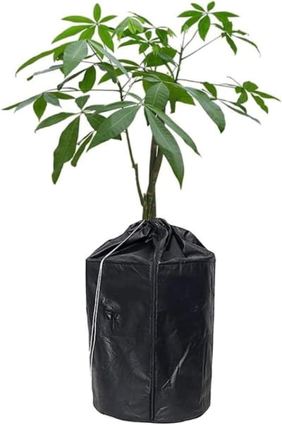 Plantenhoes - Winterbescherming - Bescherming tegen vorst - Met trekkoord - 45x55cm - Grijs