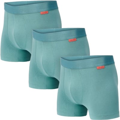 Undiemeister Boxershorts Heren - 3-Pack - Naadloos Ondergoed - Onderbroeken - Tencel - Sea Breeze (Turquoise) - Maat S