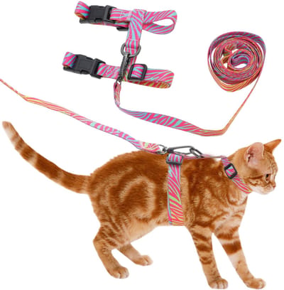 Dailygoods- Kat Tuig Ontsnappingsbestendig - Lijn Set - Lichtgewicht - Verstelbare Banden - Zacht Nylon - Comfortabel voor Wandelen - Kat Harnas