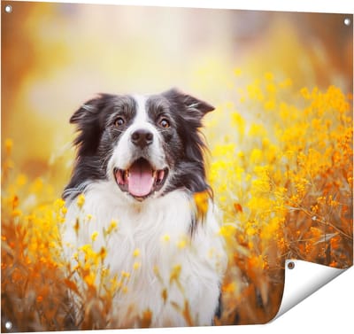 Gards Tuinposter Blije Hond tussen de Bloemen - 100x80 cm - Tuindoek - Tuindecoratie - Wanddecoratie buiten - Tuinschilderij