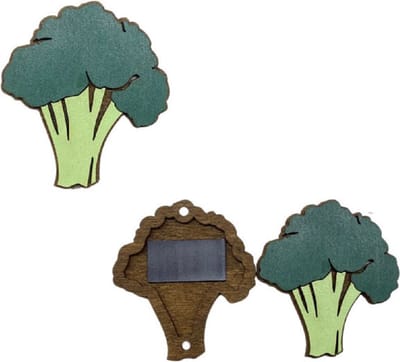 Naaldendoosje - Broccoli