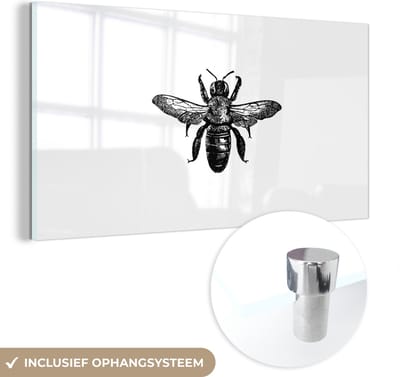 MuchoWow® Glasschilderij 40x20 cm - Schilderij acrylglas - Bij - Insect - Vintage - Zwart wit - Foto op glas - Schilderijen