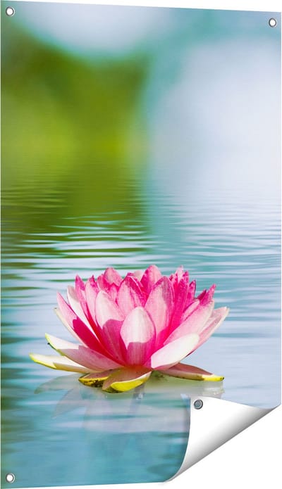 Gards Tuinposter Roze Lotusbloem op het Water - 60x90 cm - Tuindoek - Tuindecoratie - Wanddecoratie buiten - Tuinschilderij