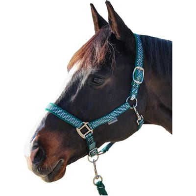 Halster en touwset voor paarden Canter Sonoma