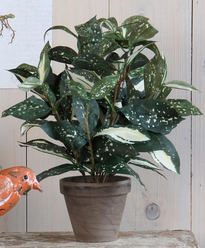Mica Decorations Cordyline kunstplant - groen - H33 cm x D25 cm - grijze sierpot - kamerplant - Kunstplanten/nepplanten