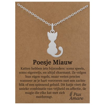 Stainless Steel Katje Ketting op Cadeau Kaartje Zilverkleurig - "Poesje Miauw" - 45cm + 5cm Verstelbaar Roestvrij Staal - Schattige Cadeau Hanger - Pax Amare