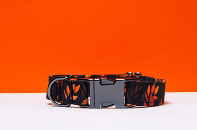 Awesome Paws Halsband Hond - Honden Halsband Herfst Collectie - Handgemaakte Halsbanden Voor De Hond - Geel Oranje Bloemen | Maat L