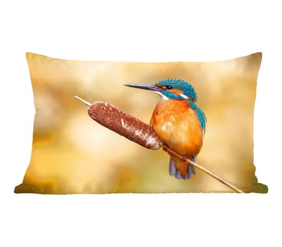 Sierkussens - Kussentjes Woonkamer - 50x30 cm - IJsvogel - Natuur - Vogel
