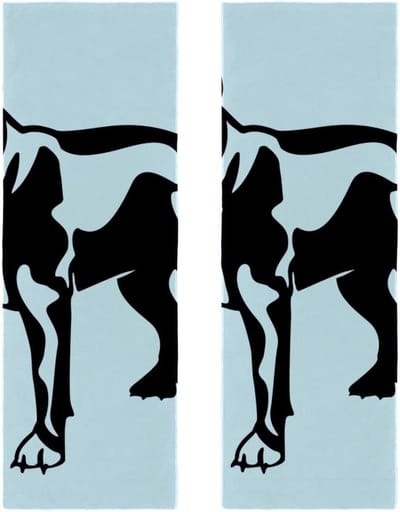 Microvezel Handdoeken Set - Sporthanddoeken - Sport en Ontspanning - Super Zacht Absorberend - 29.5x81.5cm - Blauw