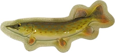 Gekleurde Vis Koelkastmagneet Snoek Koelkast Magneet Magnet Viscadeautje Cadeau Fish Snoeken Vissen