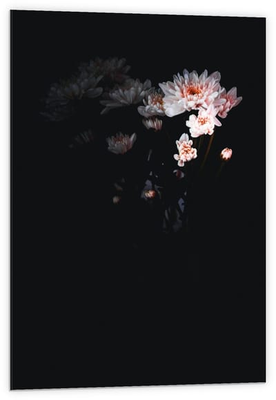 Dibond - Bloemboeket met Schaduw  - 60x90cm Foto op Aluminium (Met Ophangsysteem)