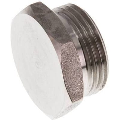 G 3/4'' RVS Plug met Buitenzeskant 40 Bar