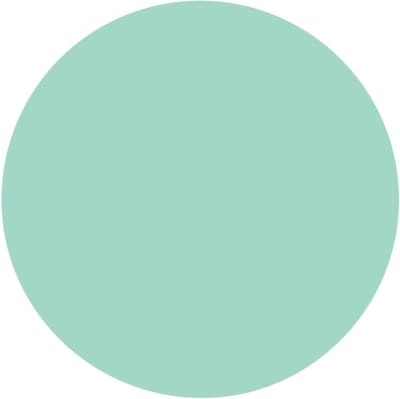 Groovy Magnets Cirkel Magneetsticker - Mint