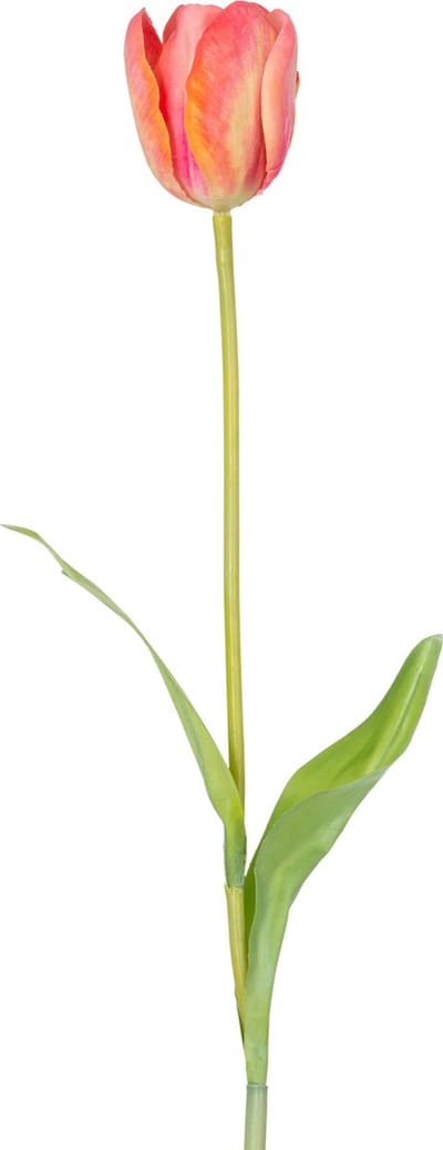 Easyplants | Kunstbloem Franse Tulp 63 cm oranje | Zijde | Nepbloemen | oranje | Onderhoudsvrij | Kant-en-klaar