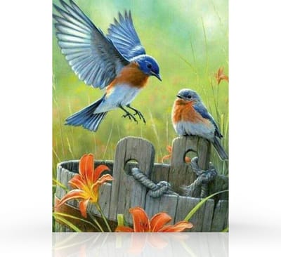 Rubye® Diamond Painting Volwassenen - Diamond Painting Kinderen - Diamond Painting Pakket Volledig - Vogels en Bloemen - 40x50cm