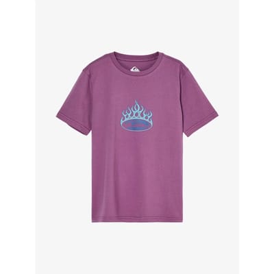 Quiksilver Flaming T-shirt Met Korte Mouwen Paars 14 Years Jongen