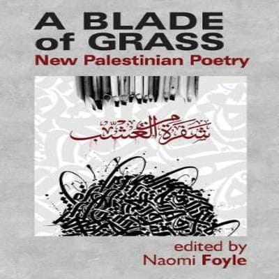 Een grasspriet Nieuwe Palestijnse Poëzie Paperback Boek 9780995767539