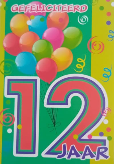 12 Jaar Gefeliciteerd - Luxe verjaardagskaart - 12x17cm - Gevouwen Wenskaart inclusief envelop - Leeftijdkaart - D4285/266