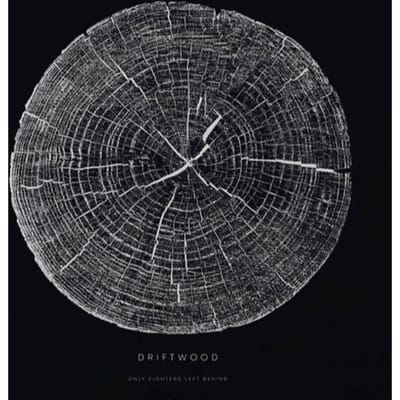 Only Fighters Left Behind - Driftwood