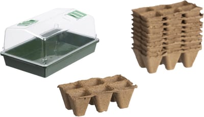 Kweekbak/kweekkast met deksel met 10x houtvezel kweekpotjes 38 x 24 x 18 cm