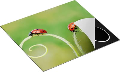 Chefcare Inductie Beschermer Twee Lieveheersbeestjes in het Gras - 60x50 cm - Afdekplaat Inductie - Kookplaat Beschermer - Inductie Mat