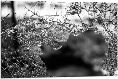 Dibond - Blad bij Takken (zwart/wit) - 90x60cm Foto op Aluminium (Wanddecoratie van metaal)