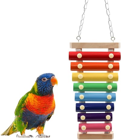 Xylofoon Speelgoed Vogel - Muziekspeelgoed Papegaai - Vogel Entertainment - 8 Metalen Sleutels - 48.5 cm - Meerkleurig