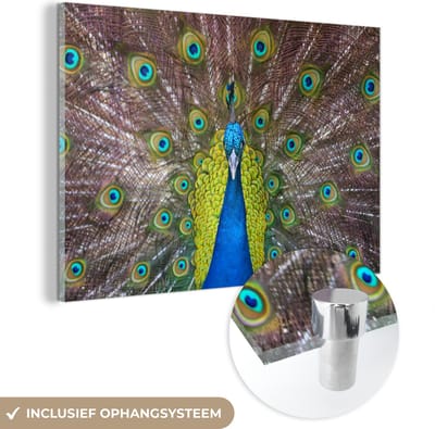 MuchoWow® Glasschilderij 60x40 cm - Schilderij acrylglas - Pauw - Veren - Ogen - Foto op glas - Schilderijen
