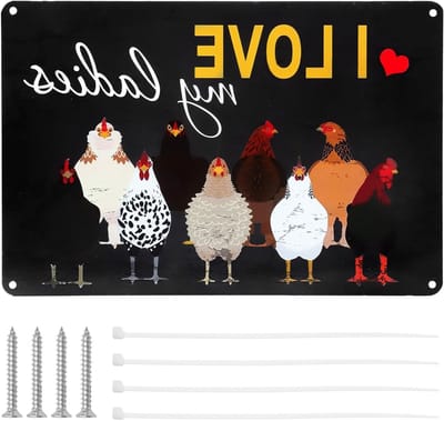 Retro metalen wanddecoratie met kip, 'I Love My Ladies', 30 x 20 cm, grappig en vintage voor kippenhok en tuin