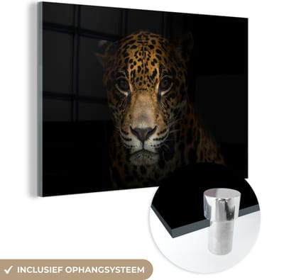 MuchoWow® Glasschilderij 60x40 cm - Schilderij acrylglas - Panter - Zwart - Nacht - Foto op glas - Schilderijen