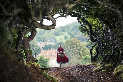 Disney Into the Woods DVD Duits