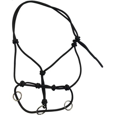 Halster voor paarden Tattini