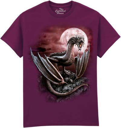 Draak Darius Dragon The Coloured House T-shirt M