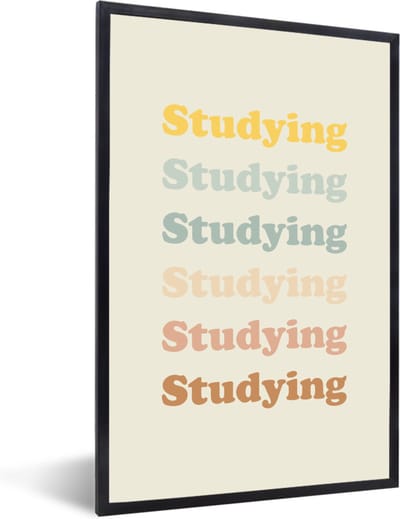 Fotolijst incl. Poster - Quotes - Studeren - Student - 40x60 cm - Posterlijst