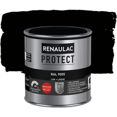 Renaulac Buitenlak Protect - Ral9005 Gitzwart - Hoogglans - 250ml