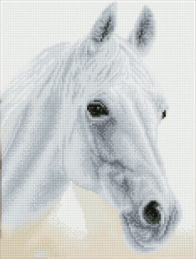DQ8.009 Diamond Dotz® - Hobby Pakket - Diamond painting volwassenen - Witte hengst 41 x 31cm - Vierkante steentjes - Diamond painting pakket volledig
