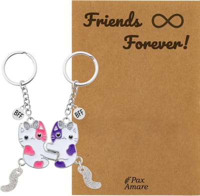 BFF Sleutelhanger voor 2 ' Friends Forever' - Magnetische Katjes - Sleutelhanger set op Cadeau Kaartje - Zilverkleurig - Vriendschap Symbool - Pax Amare