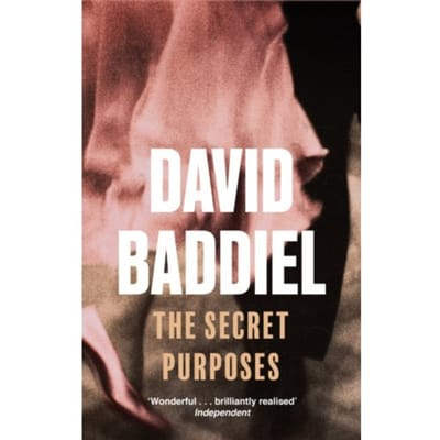 The Secret Purposes - Baddiel, David