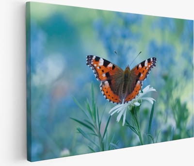Saammp Muurcirkel Hout - Bos Bloemen - Abstract - Natuur - Ø 90 - Wandcirkel - Wanddecoratie Cirkel - Muurdecoratie Woonkamer - Kantoor Decoratie