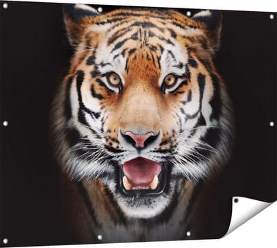 Gards Tuinposter Tijgerkop - Tijger - 120x90 cm - Tuindoek - Tuindecoratie - Wanddecoratie buiten - Tuinschilderij