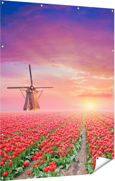 Gards Tuinposter Rode Rozen Bloemenveld met een Windmolen - 120x160 cm - Tuindoek - Tuindecoratie - Wanddecoratie buiten - Tuinschilderij
