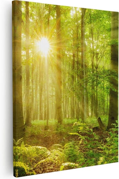 Artaza Canvas Schilderij Bos - 80x100 cm - Groot - Wanddecoratie Zonlicht - Muurdecoratie Bomen - Schilderijen Op Canvas Natuur