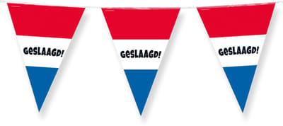 Geslaagd vlaggenlijn - Rood/Wit/Blauw stijl - 10 meter - 15 vlaggetjes - Diploma versiering