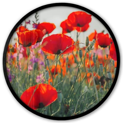 Poster in lijst Rond - Fotolijst 40x40 cm - Posters - Klaproos - Bloemen - Rood - Paars - Weide - Ronde posterlijst zwart - Decoratie - Wanddecoratie woonkamer - Muurdecoratie slaapkamer