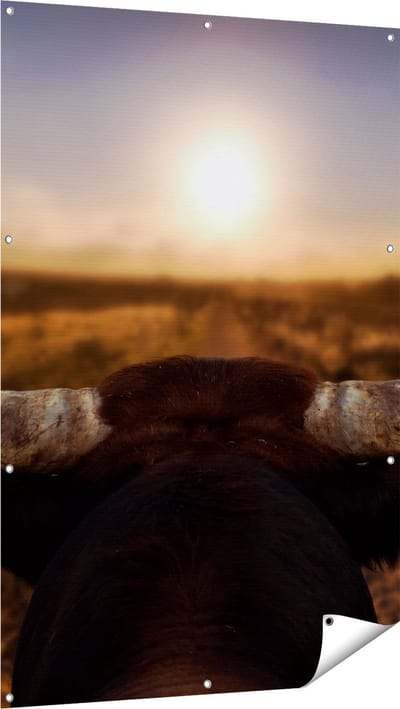 Gards Tuinposter Stierenhoorns bij Zonsondergang - 100x150 cm - Tuindoek - Tuindecoratie - Wanddecoratie buiten - Tuinschilderij