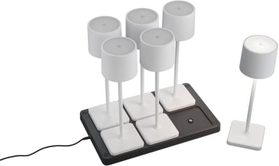 LED Tafellamp - Trio Andez - 1.5W - 6 Lichtpunten - Aanpasbare kleur - Oplaadbare batterijen - Mat Wit - Kunststof
