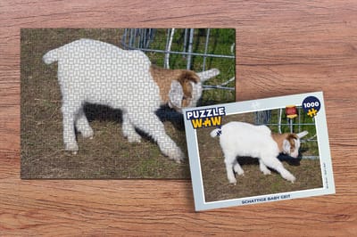 Puzzel Geit - Boerderij - Stro - Legpuzzel - Puzzel 1000 stukjes volwassenen