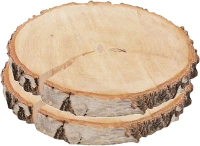 HBX Natural Living Decoratie boomschijven met schors - 2x - hout - D24,5 cm - rond