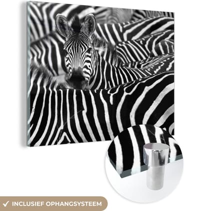 MuchoWow® Glasschilderij 40x30 cm - Schilderij acrylglas - Zebra zwart-wit fotoprint - Foto op glas - Schilderijen