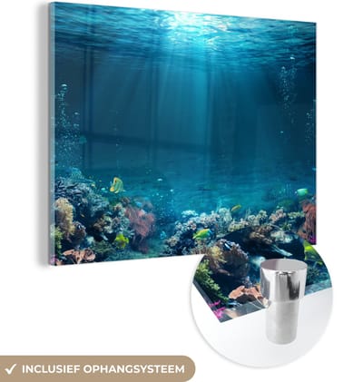 MuchoWow® Glasschilderij 160x120 cm - Schilderij acrylglas - Oceaan - Vis - Koraal - Foto op glas - Muurdecoratie woonkamer - Wanddecoratie slaapkamer - Schilderijen